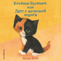 Холли Вебб. Котёнок Бусинка, или Друг с железной дороги