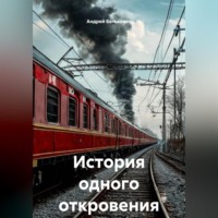 Андрей Николаевич Белькович. История одного откровения