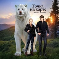 Анюта Соколова. Точка на карте