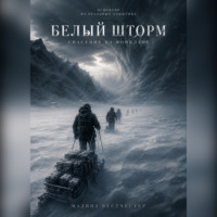 Мадина Вестчестер. Белый шторм Спасение на Монблане