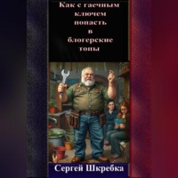 Сергей Шкребка. «Как с гаечным ключом попасть в блогерские топы?»