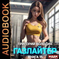 Григорий Володин. Газлайтер. Книга 15
