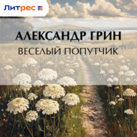 . Весёлый попутчик