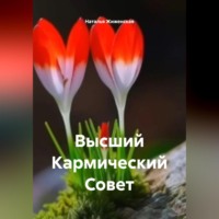 Наталья Жиженская. Высший Кармический Совет