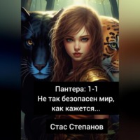 Стас Степанов. Пантера 1-1. Не так безопасен мир, как кажется…