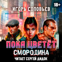 Игорь Соловьев. Пока цветет смородина
