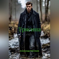 Александр Петляков. Трясина