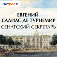Евгений Салиас де Турнемир. Сенатский секретарь
