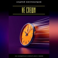 Андрей Миллиардов. Не спеши. Как замедлиться и вернуть вкус к жизни