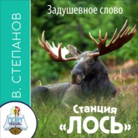 Владимир Степанов. Станция ЛОСЬ