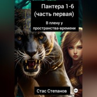 Стас Степанов. Пантера 1-6. Часть первая. В плену у пространства-времени