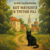 Юлия Евдокимова. Кот мяукнул в третий раз