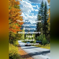 Алексей Владимирович Лезин. Скрытие с места ДТП. «Положительная» практика Второго кассационного суда общей юрисдикции