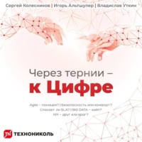 Игорь Альтшулер. Через тернии – к Цифре