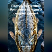 . Палтус. Настоящий бриллиант холодных северных морей.