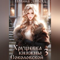 . Хрущевка княжны Соколовской 3