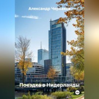 Александр Черевков. Поездка в Нидерланды