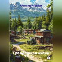 Александр Черевков. Гражданская жизнь
