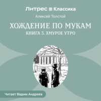 . Хождение по мукам. Книга 3. Хмурое утро