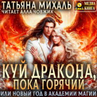 Татьяна Михаль. Куй Дракона, пока горячий, или Новый год в Академии Магии