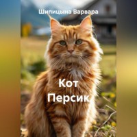 Варвара Евгеньевна Шипицына. Кот Персик
