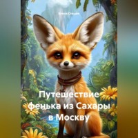Елена Стецюк. Путешествие фенька из Сахары в Москву