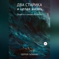 Сергей Николаевич Галикин. Два старика и целая жизнь