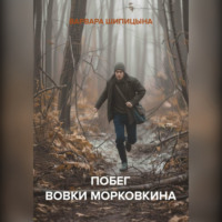 Варвара Евгеньевна Шипицына. Побег Вовки Морковкина