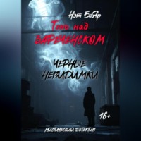 Нэт Бояр. Тень над Зареченском. Черные невидимки