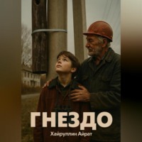 Айрат Хайруллин. Гнездо