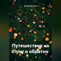 Василий Анатольевич Проничев. Путешествие на Луну и обратно