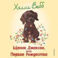Холли Вебб. Щенок Джексон, или Первое Рождество
