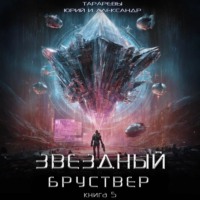 Юрий Тарарев. Звездный бруствер. Книга 5