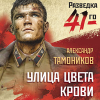 Александр Тамоников. Улица цвета крови