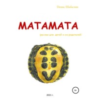 Денис Шабалин. Матамата