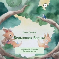. Бельчонок Васька и правила техники безопасности