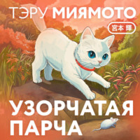 Теру Миямото. Узорчатая парча
