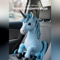 Кристина Штерн. Зеркало заднего вида
