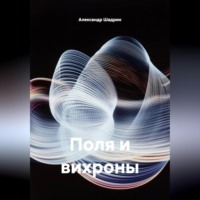 Александр Шадрин. поля и вих