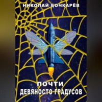 Николай Бочкарёв. Почти девяносто градусов