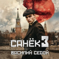 . Санёк 3