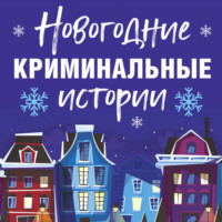 . Новогодние криминальные истории