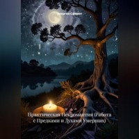 Энергия Сфирот. Практическая Некромантия (Работа с Предками и Духами Умерших)