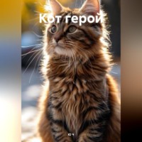 Ю Ч. Кот герой