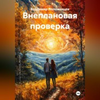 Владимир Николаевич Положенцев. Внеплановая проверка