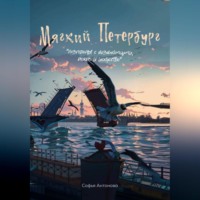 Соня Антонова. Мягкий Петербург: разговоры с незнакомцами, дождь и искусство.
