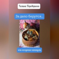 . За дело берутся… или нескучные каникулы
