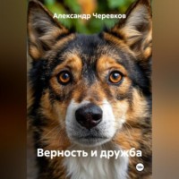 . Верность и дружба