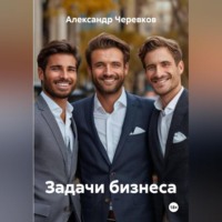 Александр Черевков. Задачи бизнеса