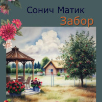 Сонич Матик. Забор